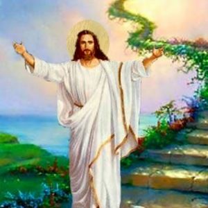 Meet your Posher, Rhonda